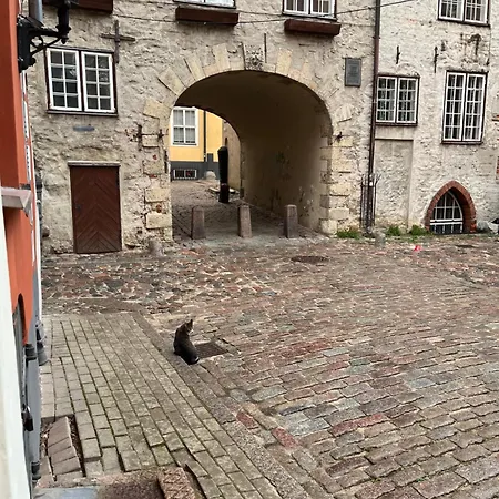 Old Town Art House شقة