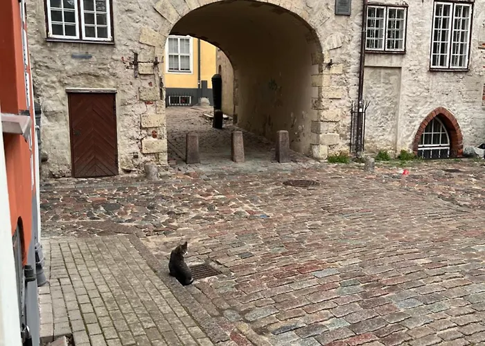 Old Town Art House Apartment